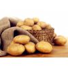 土豆重金属检测机构,土豆农残检测报告