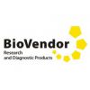 ELISA试剂盒  BioVendor 原装进口 全国总代