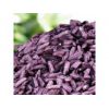 紫米原粉