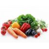 天然蔬菜提取物 大量现货