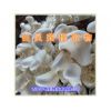 白灵菇提取物白灵菇浓缩粉