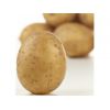马铃薯检测微生物,马铃薯营养成分检测报告