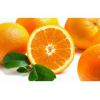 甜橙粉100% 厂家直销固体饮料甜橙粉