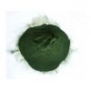生产螺旋藻粉 螺旋藻粉价格批发