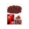 番茄红素的功效与作用，天然番茄红素
