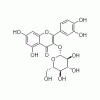 异槲皮苷 槲皮素-3-O-葡萄糖苷；异槲皮素，罗布麻甲素 HPLC≥98%