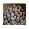 农村散养健康土鸡蛋孕妇宝宝放心柴鸡蛋吃虫草鸡蛋30枚