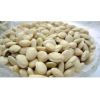 白扁豆提取物 资质厂家 质量保障