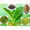茶多酚，纯天然优质植物提取物，质量保证
