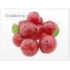 美国加州产  无添加 蔓越莓Cranberry浓缩果汁100%原浆