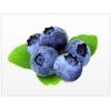 美国加州产  无添加 蓝莓浓缩果汁-清汁 100%蓝莓