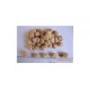 大豆组织蛋白升级换代产品55型大豆拉丝蛋白