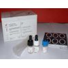D群链球菌乳胶凝集试剂盒—乳胶凝剂试剂盒系列