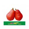 有机绿色食品进口、进口水果、 南非红皮梨进口清关报关、上海水果专业清关公司