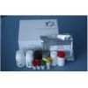 空肠弯曲菌抗体检测试剂盒