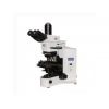 BX41-32P02奥林巴斯显微镜