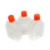 430720,75cm--corning细胞培养瓶（20包装），75cm细胞培养瓶价格，细胞培养瓶说明