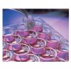 Millipore悬挂式细胞培养皿插入式细胞培养皿PIXP01250