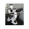 奥林巴斯CKX41倒置荧光相差显微镜