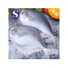 舟山海鲜冷冻野生鲳鱼/平鱼/白银鲳250-280g/条扁鱼银鲳鱼海鲜鱼