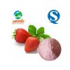 厂家直销果蔬粉-草莓粉，烘焙食品、膨化食品、固体饮料原料