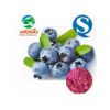厂家直销果蔬粉-蓝莓粉，烘焙食品、膨化食品、固体饮料原料