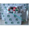 牛口蹄疫病毒抗体检测试剂盒