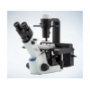 奥林巴斯CKX53倒置显微镜三目现货38800元