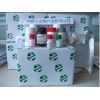 蜂蜜氯霉素ELISA检测试剂盒