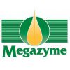 Megazyme  乳果糖检测试剂盒