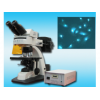五色落射荧光显微镜500LFT