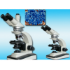 高清晰偏光显微镜LW200LPT/B
