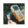 温度照度记录仪对核桃树的修剪指导