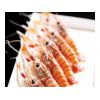 螯虾抗生素检测报告,螯虾质量检测机构,螯虾营养检测项目