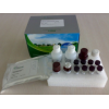 猴白介素4(IL-4)ELISA试剂盒