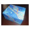 大鼠白介素12(IL-12/P40)Elisa试剂盒