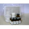大鼠糖原磷酸化酶（GP）Elisa试剂盒