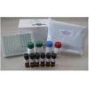 Helica黄曲霉毒素总量检测试剂盒