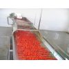 番茄酱前处理生产线