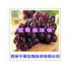 葡萄纯天然提取物葡萄浓缩粉厂家生产动植物提取物