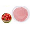 【草莓粉】天蔬谷物粉 草莓原料萃取
