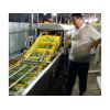 豪联HLXQ-8000 香菜清洗机/不损坏蔬菜、效率高